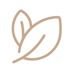 Clean Ingredients